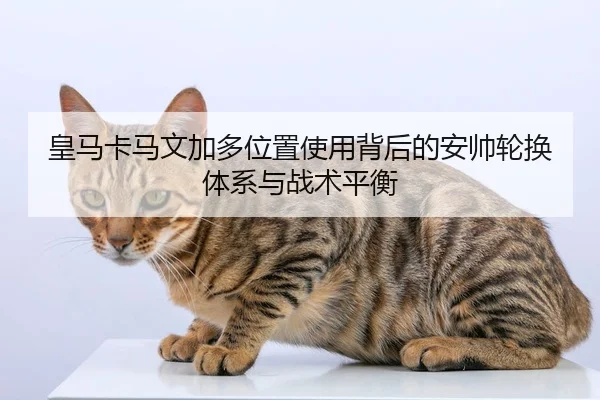 皇马卡马文加多位置使用背后的安帅轮换体系与战术平衡